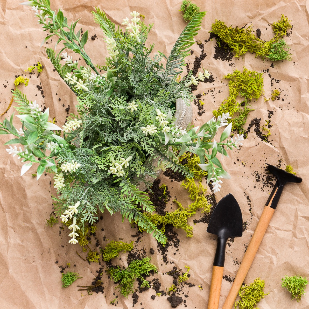 WhatsApp Image 2020-07-31 at 9.33.05 AM (1)